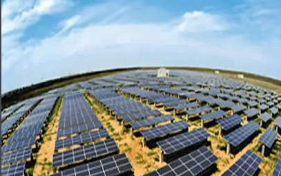 ˫̼Ŀƶ£ҵԷʲôã